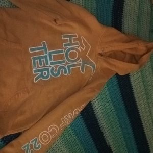 Orange Hollister Hoodie